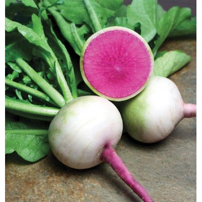 Семена редьки японской Ред Мит 100гр. Takii Seeds, Япония